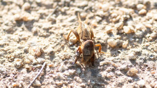 Thumbnail of post image 028