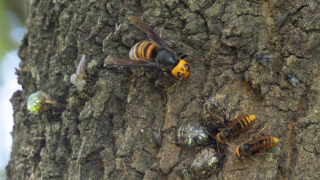 Thumbnail of post image 027