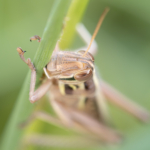 Thumbnail of post image 172