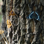 Thumbnail of post image 136