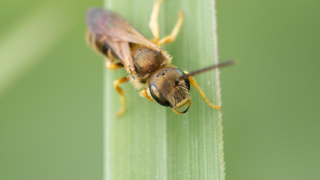 Thumbnail of post image 100