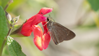 Thumbnail of post image 193