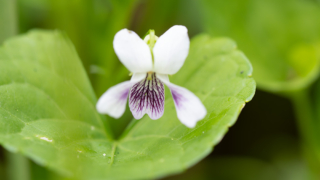 Thumbnail of post image 079