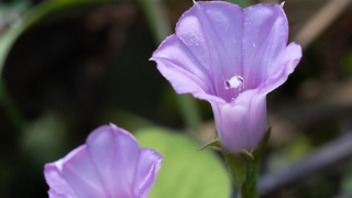 Thumbnail of post image 112